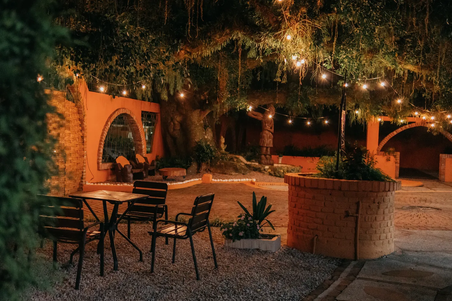 Jardim à noite com cordão de luzes